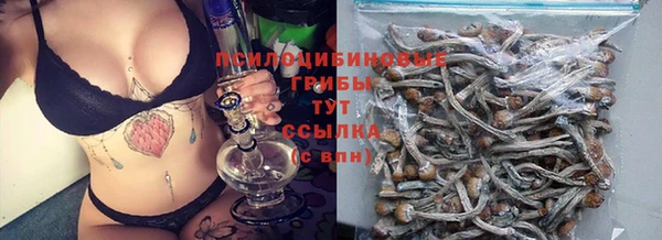 герыч Медногорск