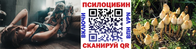 где продают   Бугуруслан  мега рабочий сайт  мориарти Telegram  Галлюциногенные грибы Cubensis 